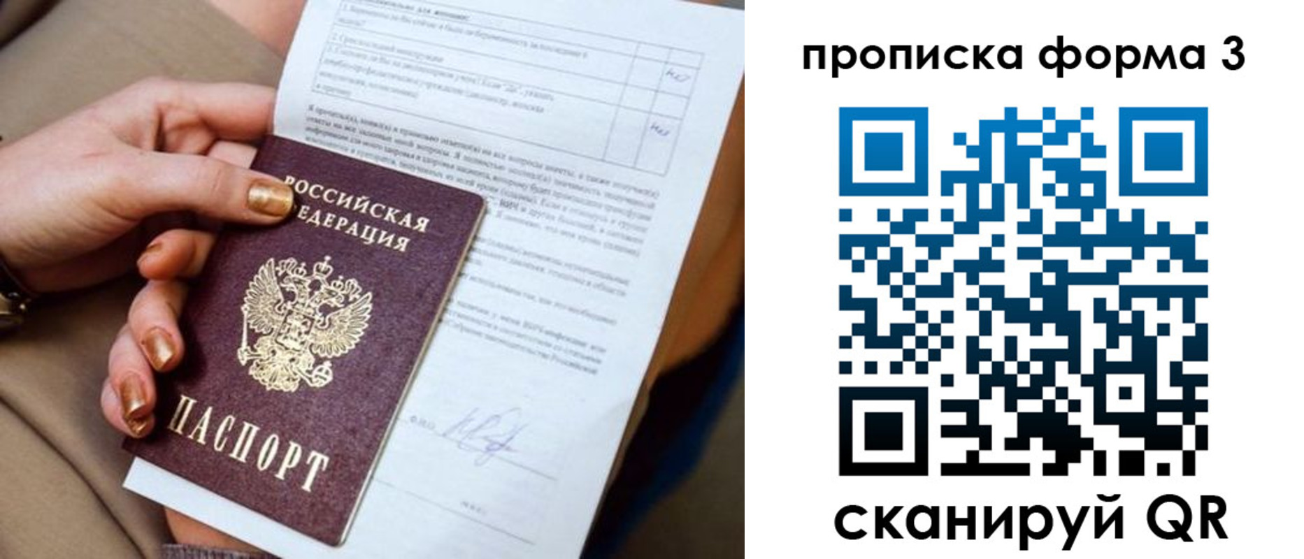 прописка поиск в Шлиссельбурге